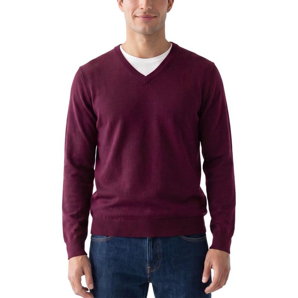 Forte Mens  Cashmere 100% Cashmere V-Neck 100% Cashmere Sweater, Purple